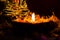 Half body shot of buddha statue with shining lamp on rose petals against dark blurred background. buddhism and faith concept