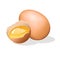 Half broken chicken egg. Vector illustration.