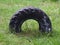 Half buried old rubber tire in green grass