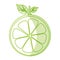 Half citrus fruit icon