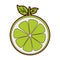 Half citrus fruit icon