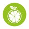 Half citrus fruit icon