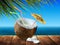 Half of the coconut milk and several pieces of walnut on the background seascape. Highly realistic illustration