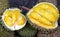 Half cut durian `King of Fruits`