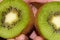 Half cuted kiwi in detail