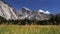 Half dome and meadow