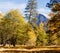 Half Dome Yosemite National Park Panoramic
