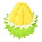 Half durian fruit icon, isometric style