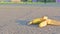 A half eaten banana lies on the stadium track