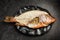 Half eating red snapper fish with exposed bones, on dark background, top view