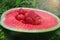 Half of the fleshy ripe watermelon seedless with strawberries lie on the grass. continuous cycle of maturation, good harvest