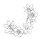 Half frame of spring flowers, decoration element, sketch vector illustration