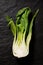 Half of fresh bok choy, pac choi, chinese cabbage on a black stone background