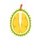 Half fresh durian icon, flat style