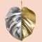 Half gold and silver leaf monstera