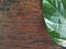 A half green leaf on wooden background