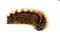 The half-grown caterpillar overwinters and is found in the fall often exposed to old seed heads,