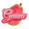 Half of guava logo, cartoon style