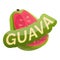 Half guava logo, cartoon style