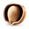 Half of hazelnut isolated on a white background