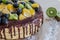 Half honey cake with chocolate and fruit grapes, kiwi, orange