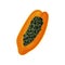 Half of juicy papaya pawpaw . Delicious tropical fruit. Natural and healthy food. Flat vector element for juice or