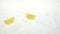 Half a lemon falls into the water and flies to two quarters. White background. Slow motion