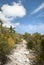 Half Moon Cay Path And A Cloudscape