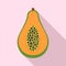 Half of papaya icon, flat style