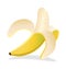 Half pealed banana vector illustration