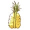 Half pineapple icon, tasty ananas dessert piece