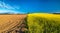 Half plowed field and half cultivated field