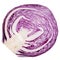 Half of purple cabbage lies frontally, on a white background, the texture of the slice is similar to a bug