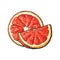 Half and quarter of ripe pink grapefruit, hand drawn illustration