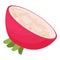 Half radish icon cartoon vector. Food plant