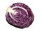 Half red cabbage isolated on white background