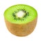 Half ripe kiwi fruit isolated on white background. Slice of organic kiwi close up
