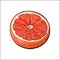 Half of ripe pink grapefruit, red orange, sketch vector illustration