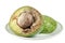 Half rotten avocado on white background