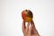 Half rotten or spoiled apple being held in hand by a Caucasian male hand. Close up studio shot, isolated on white background