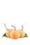 Half santol fruit and ripe santol on white background planting agriculture food isolated