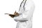 A half-standing doctor, without a face, holding a stethoscope against a white background.,physical examination,health check