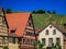 Half timbered houses and a vineyard on Alsatian Wine Route, Riquewihr, France