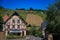 Half timbered houses and a vineyard on Alsatian Wine Route, Riquewihr, France