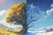 Half tree in winter, half tree in spring and summer, change of seasons weather concept