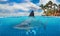 Half underwater photo of tropical paradise with big friendly shark. The water is clear and blue