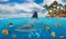 Half underwater photo of tropical paradise with a group of colorful fishes and big shark