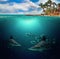 Half underwater photo of tropical paradise with a group of colorful fishes and big sharks. The water is clear and blue. There is a