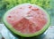 half of unripe watermelon with white seeds