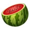 Half watermelon icon cartoon vector. Summer fruit